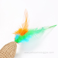 Cat Toy Feather Cardboard Scrather Toy Kitten